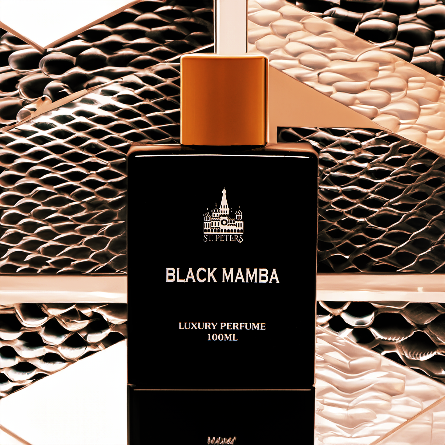 Black Mamba By Olga